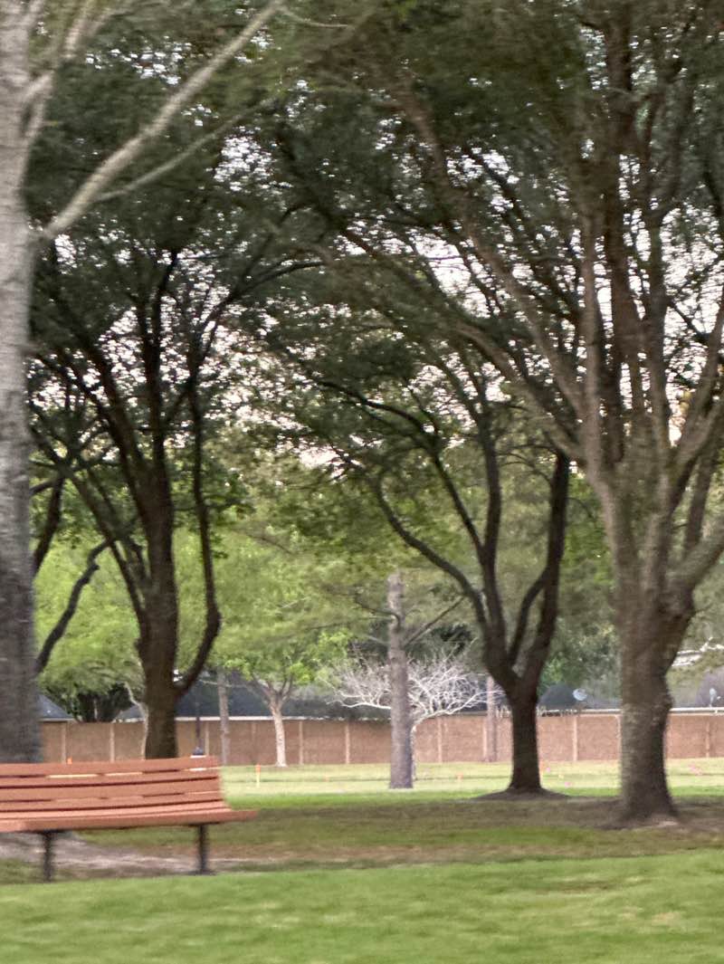 walking near me in Nottingham Country MUD Greenbelt Park in spring