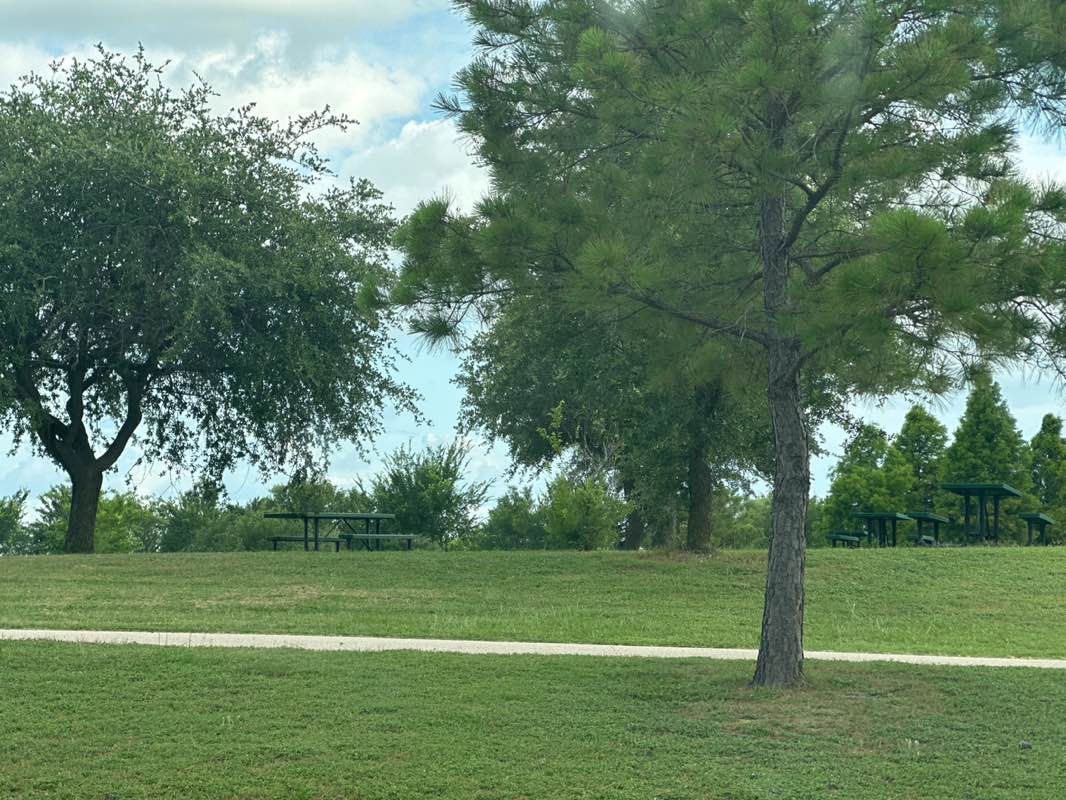 walking near me in Hockley Recreational Complex in summer