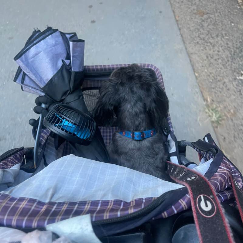 PacerGal_1971 post 1