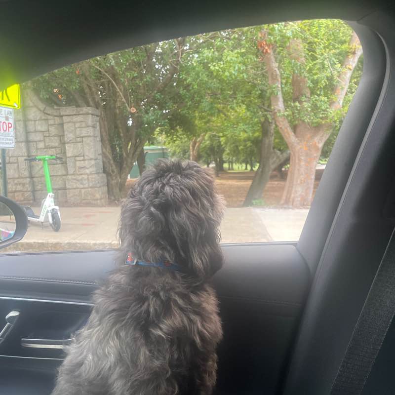 PacerGal_1971 post 1