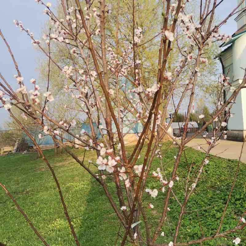 🍭Александра🍭✨ post 3