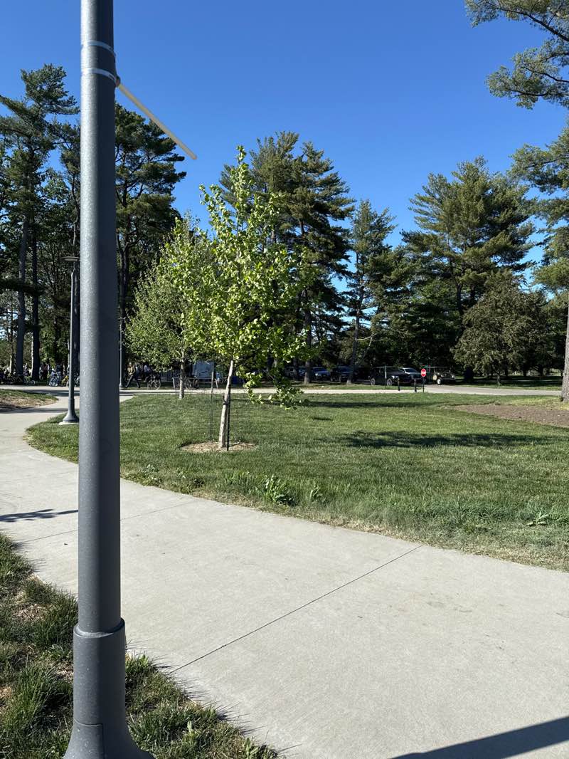 walking near me in Water Works Park in spring