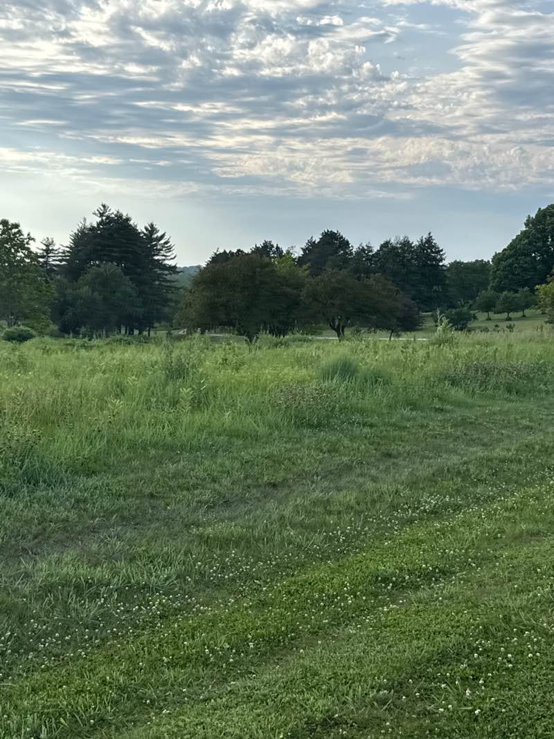 walking near me in Ewing Park in summer