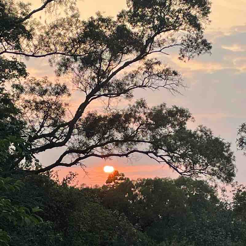 馬上有大吉吉 post 1