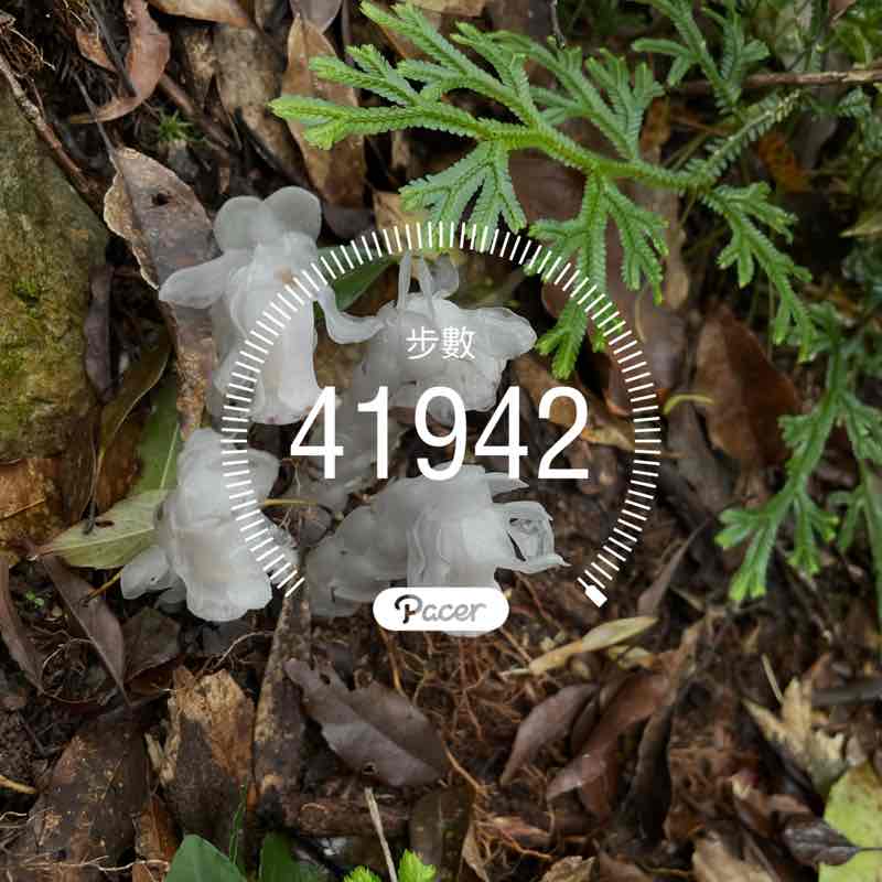 馬上有大吉吉 post 1