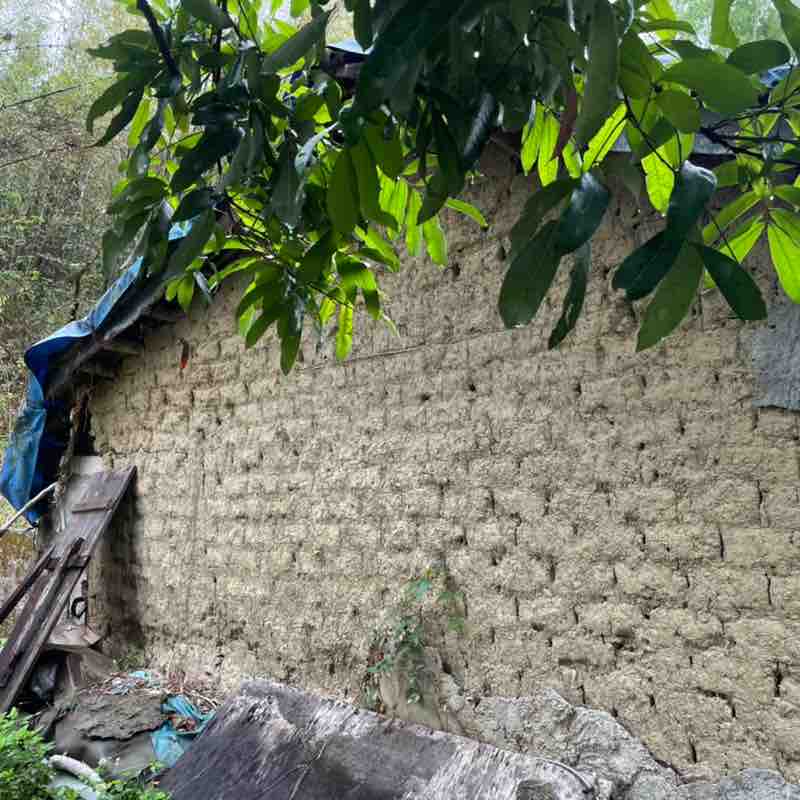 馬上有大吉吉 post 1