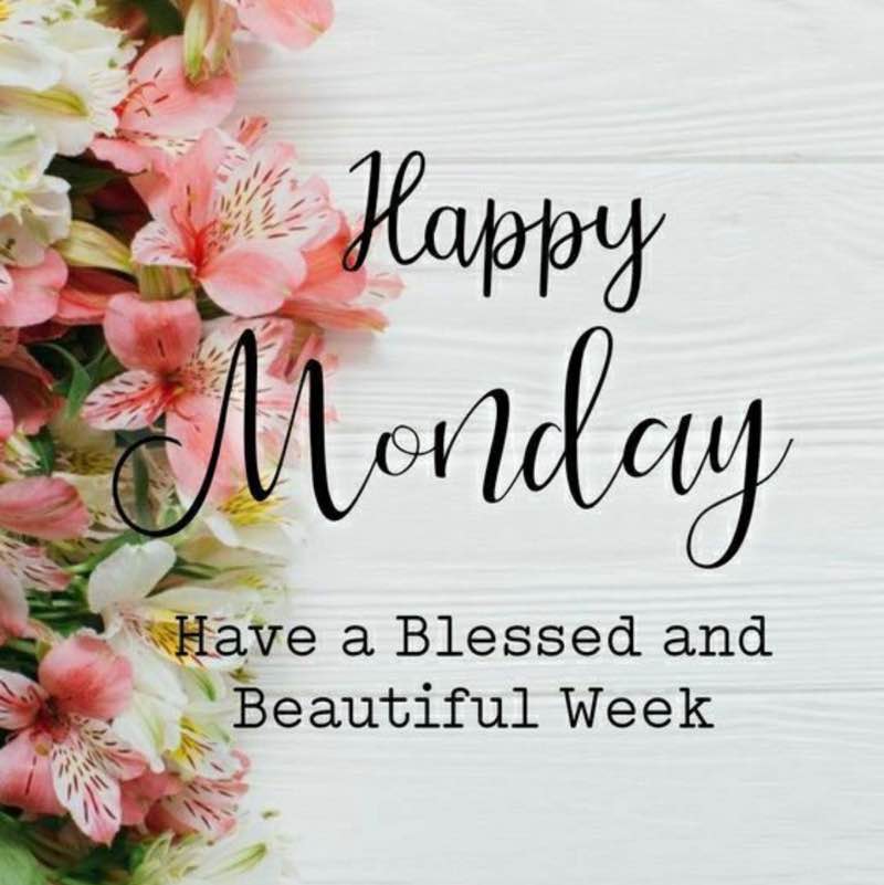 Salwa 🍃🌹🍃 post 1