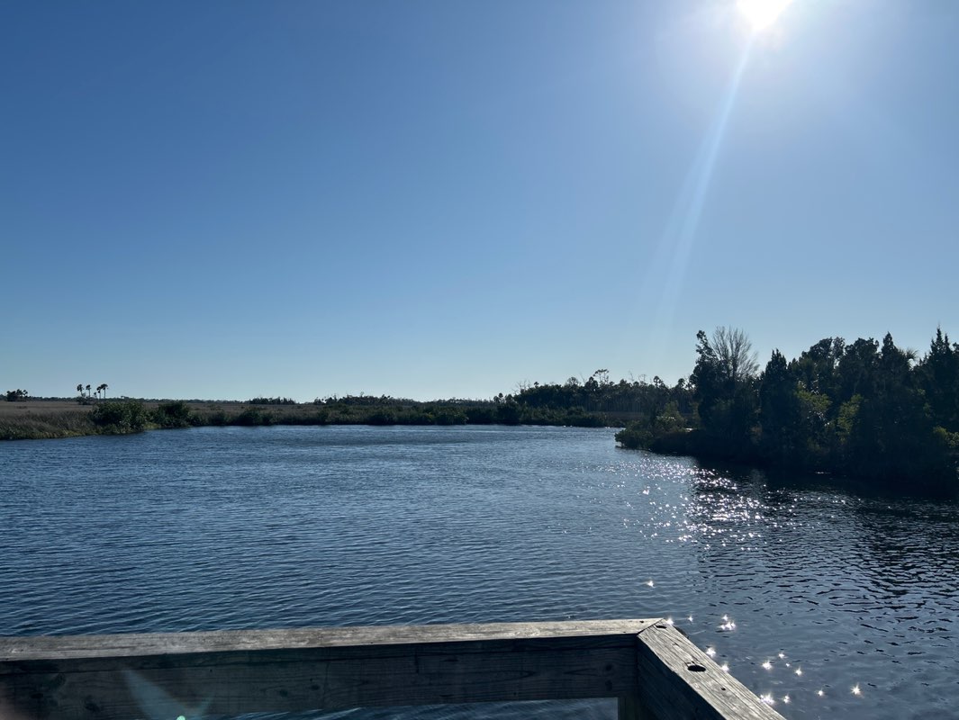 walking near me in Jenkins Creek Park in spring