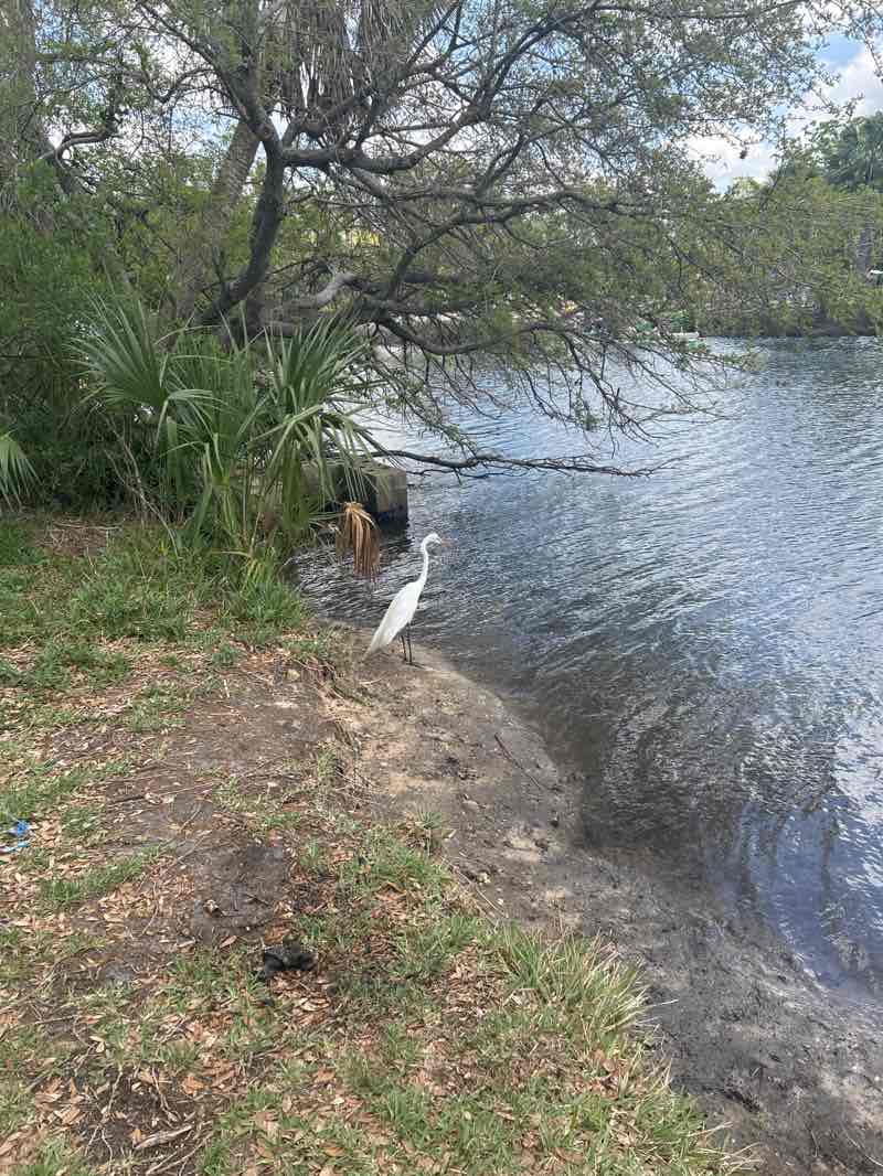 walking near me in Jenkins Creek Park in spring