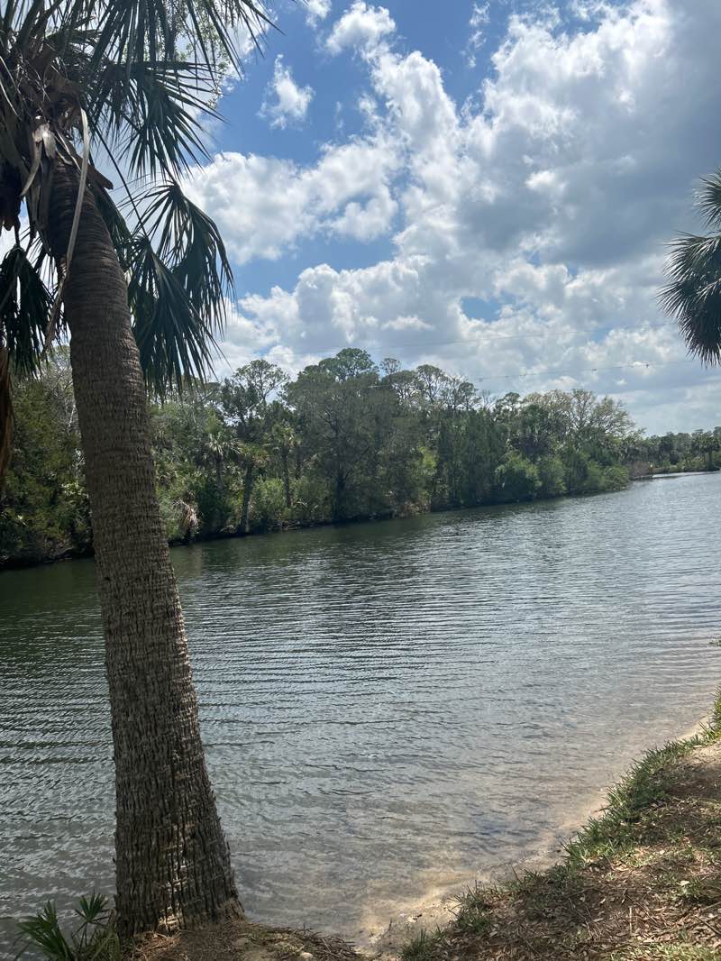 walking near me in Jenkins Creek Park in spring