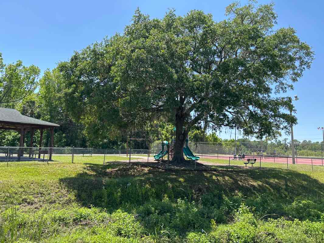 walking near me in Bud Mckethan Park in spring