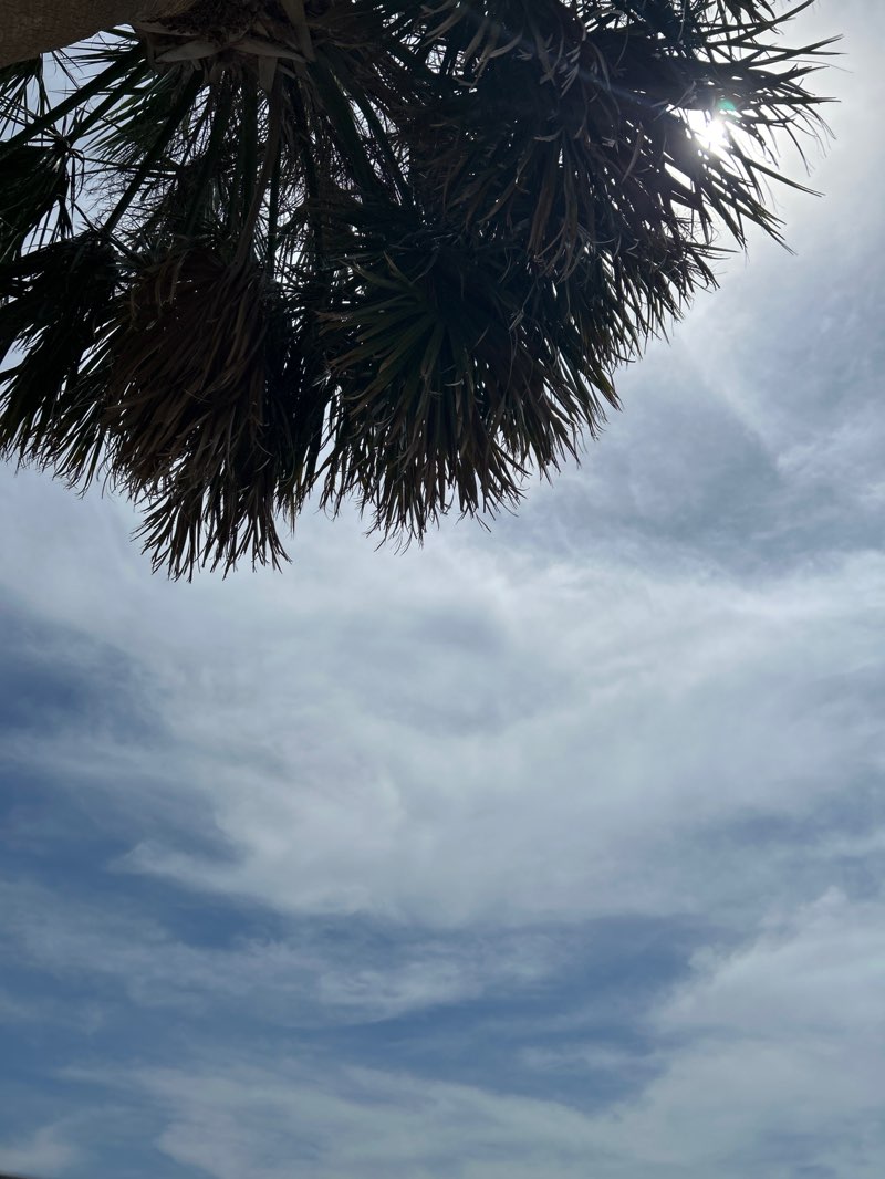 walking near me in Pine Island Park in spring