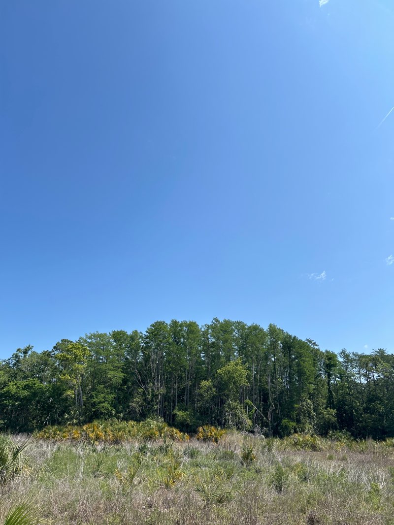 walking near me in Weeki Wachee Preserves Main Entrance in spring
