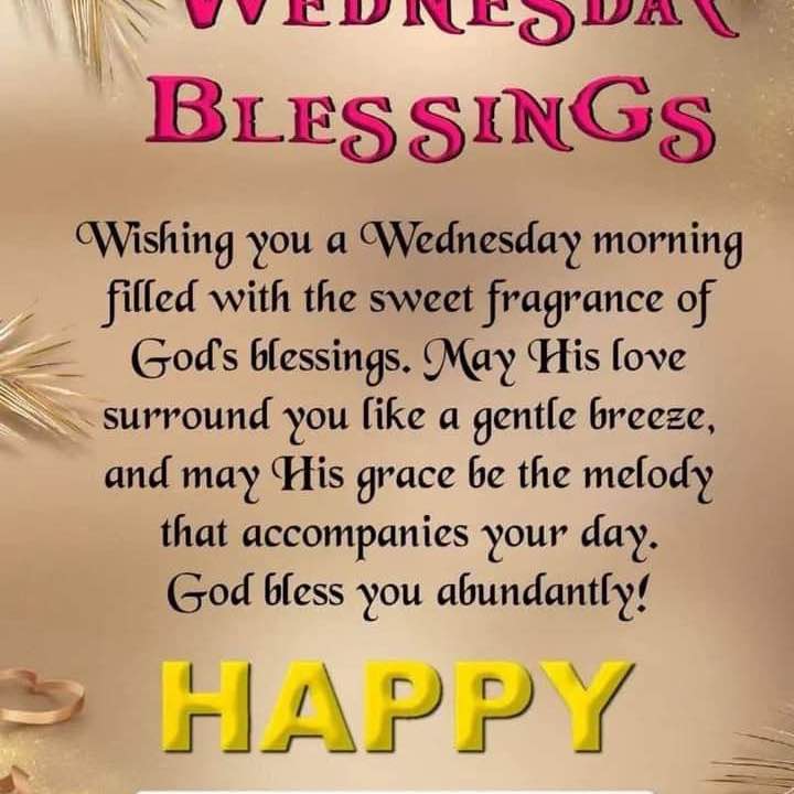 Salwa 🍃🌹🍃 post 1