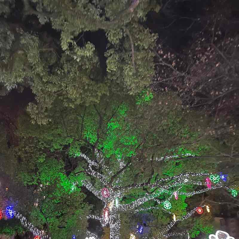 ヒロロロロロロン post 2