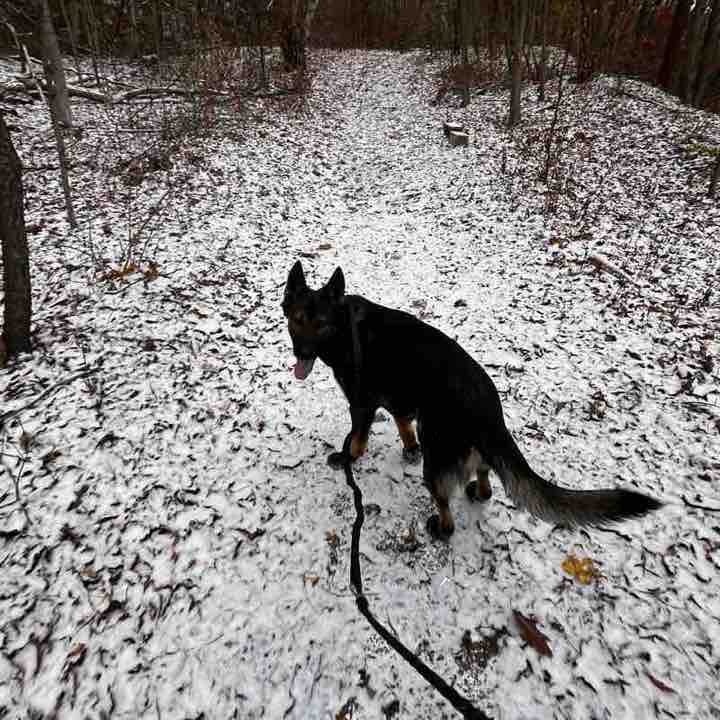 vonte & jocko post 3