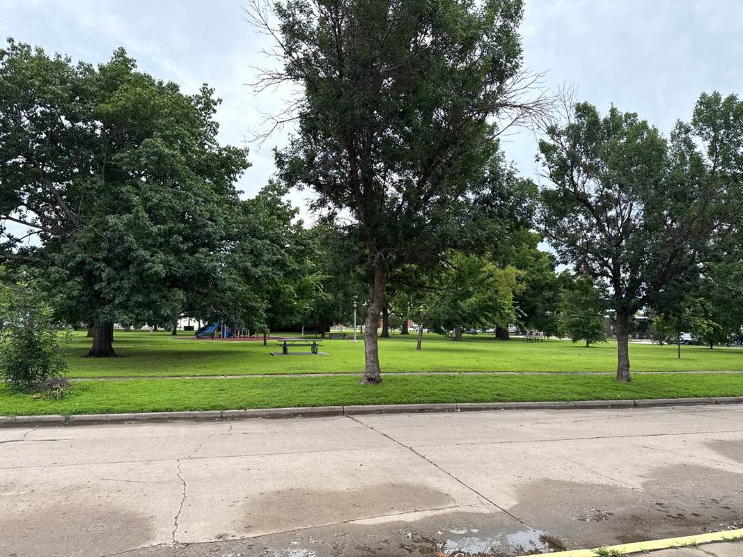 walking near me in Hyde Park in summer