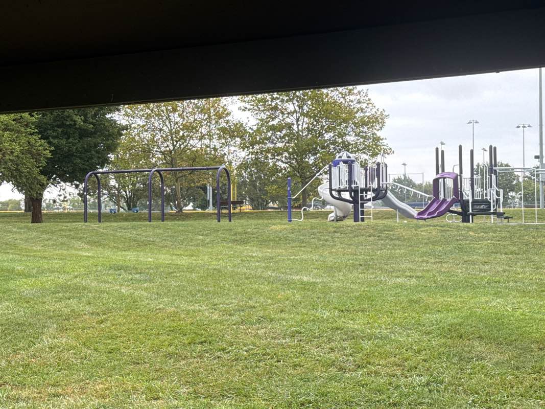 walking near me in Holcom Park in autumn