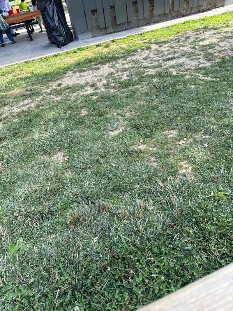 walking near me in Blandair Regional Park in summer