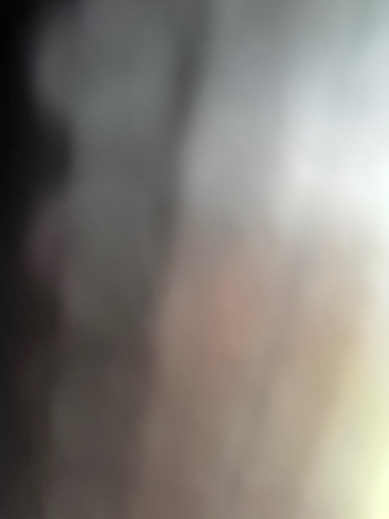 walking near me in Waterloo Park in autumn