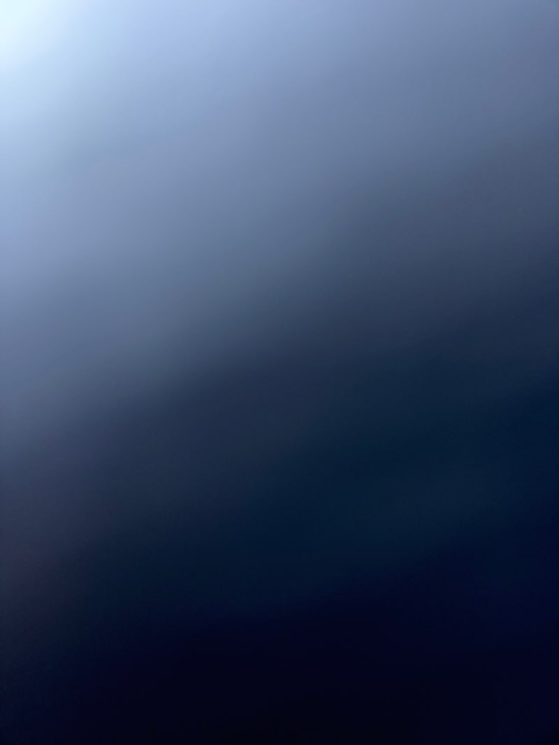 walking near me in Crosby Park in autumn