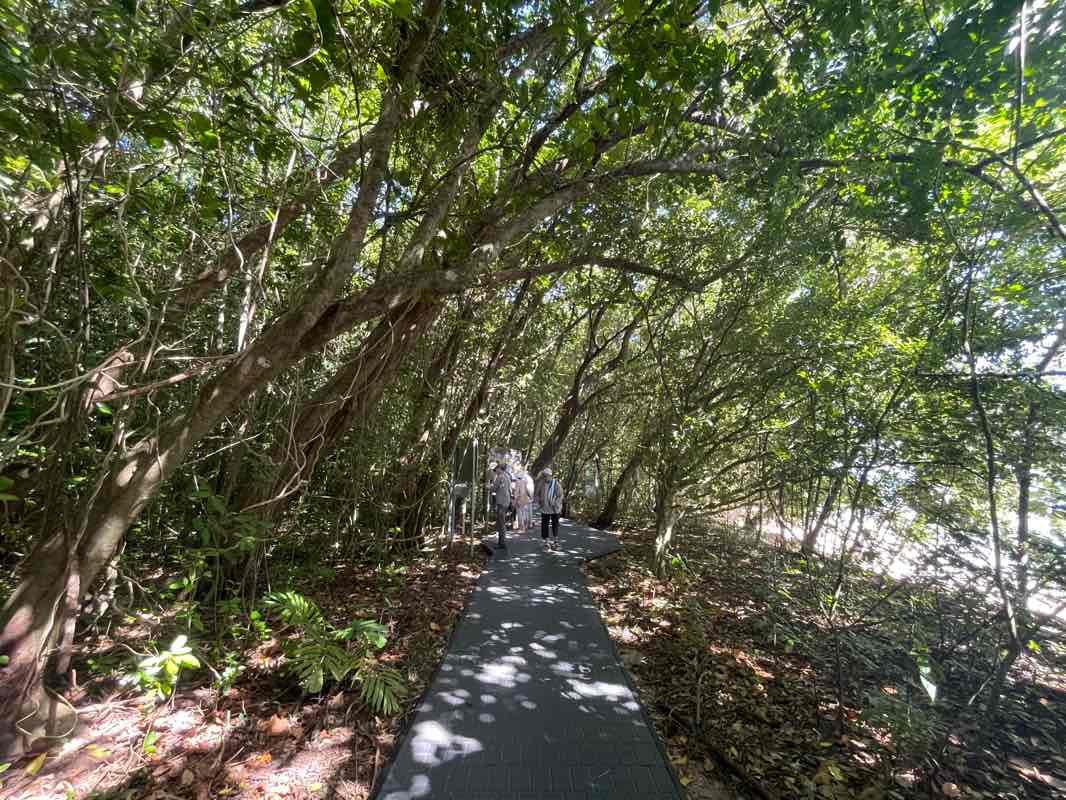 walking near me in Green Island National Park in summer
