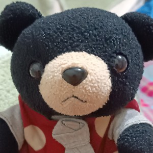 Bear profile