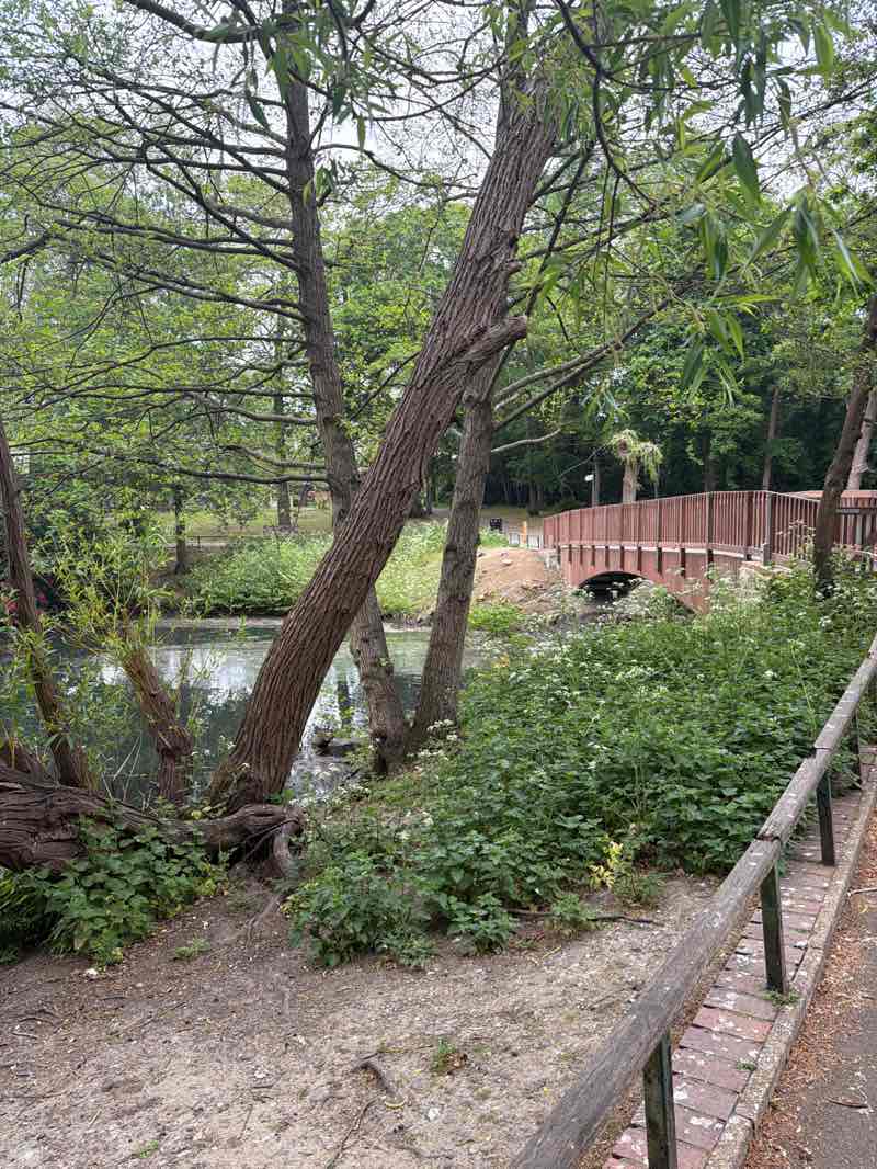 walking near me in Kelsey Park in spring