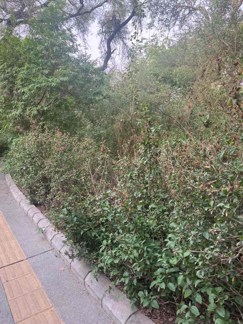 walking near me in Warizabad Ecorestoration Park in spring