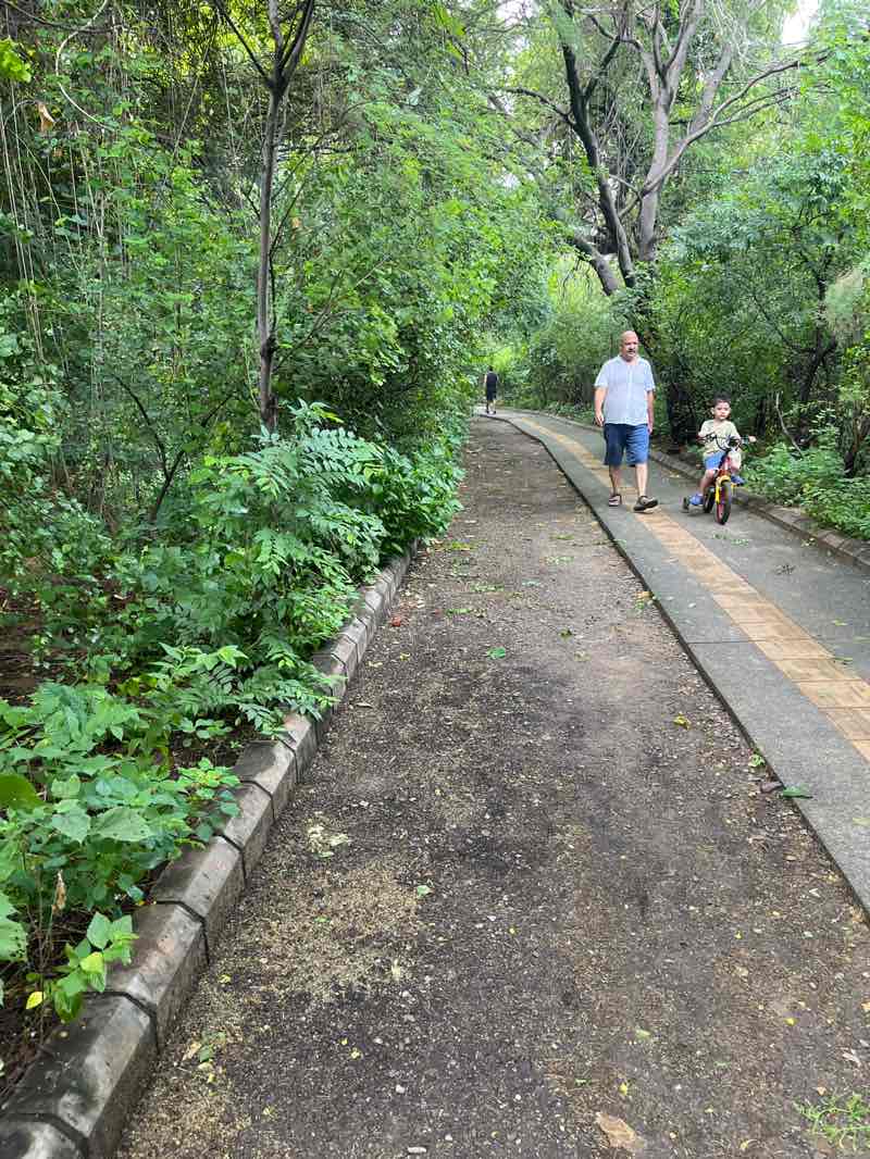walking near me in Warizabad Ecorestoration Park in autumn