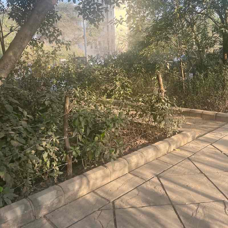 PacerGal_1965 post 1