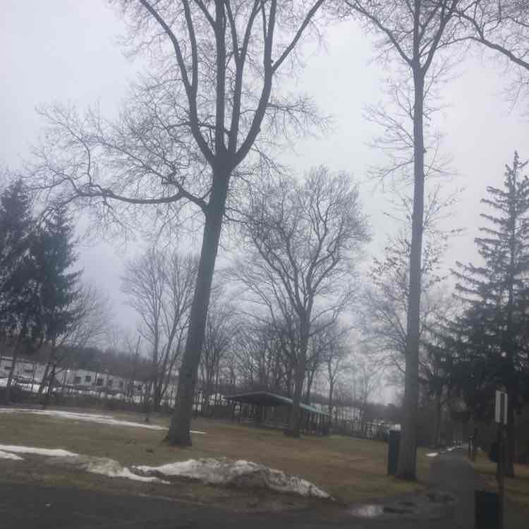 Frank the Tank post 2