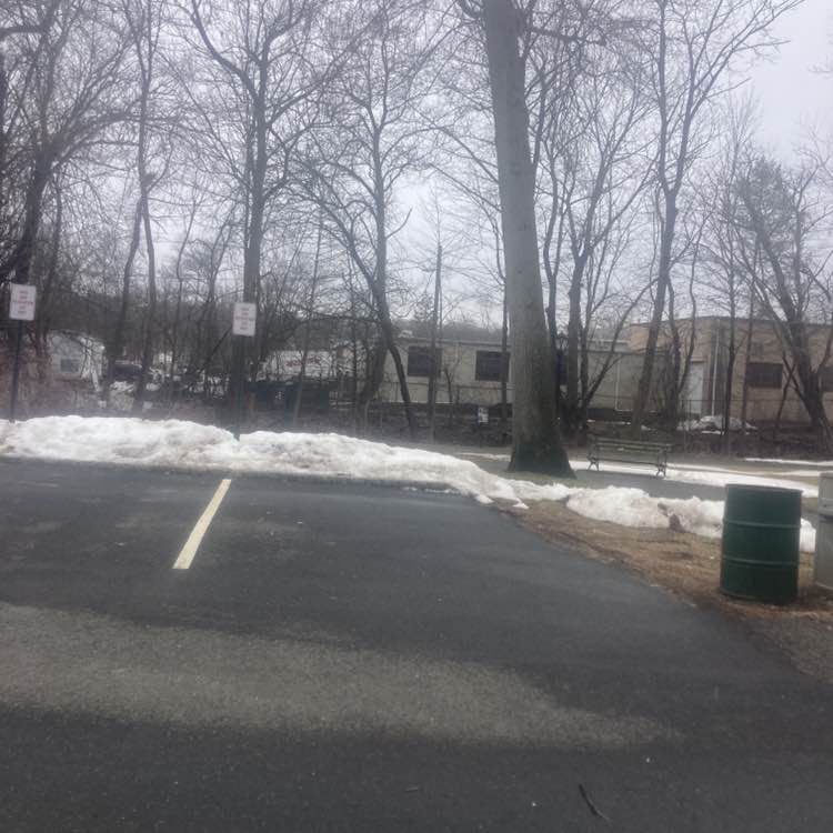 Frank the Tank post 3