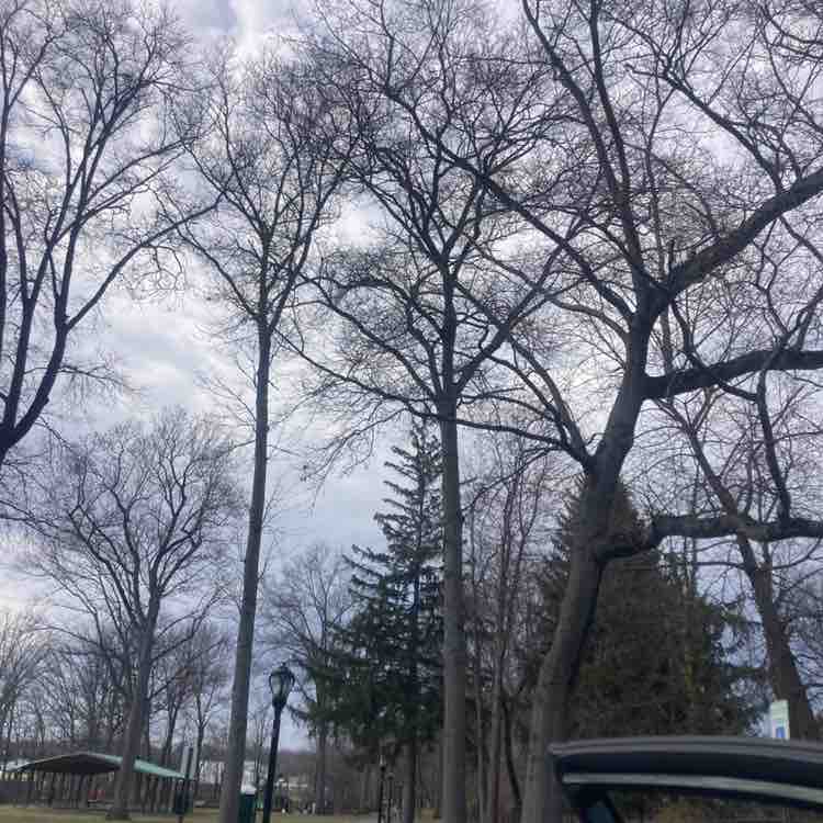 Frank the Tank post 2