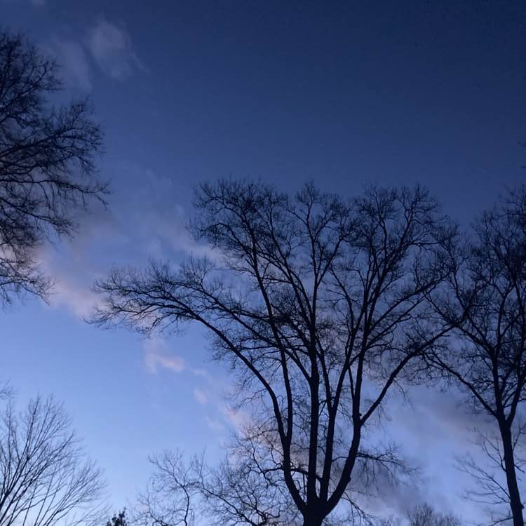 Frank the Tank post 3