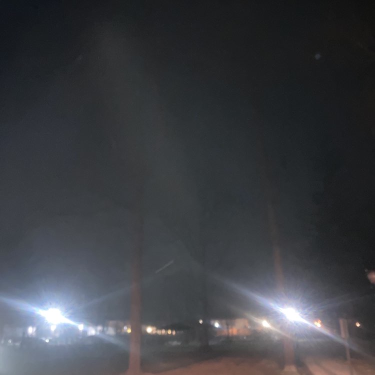 Frank the Tank post 1