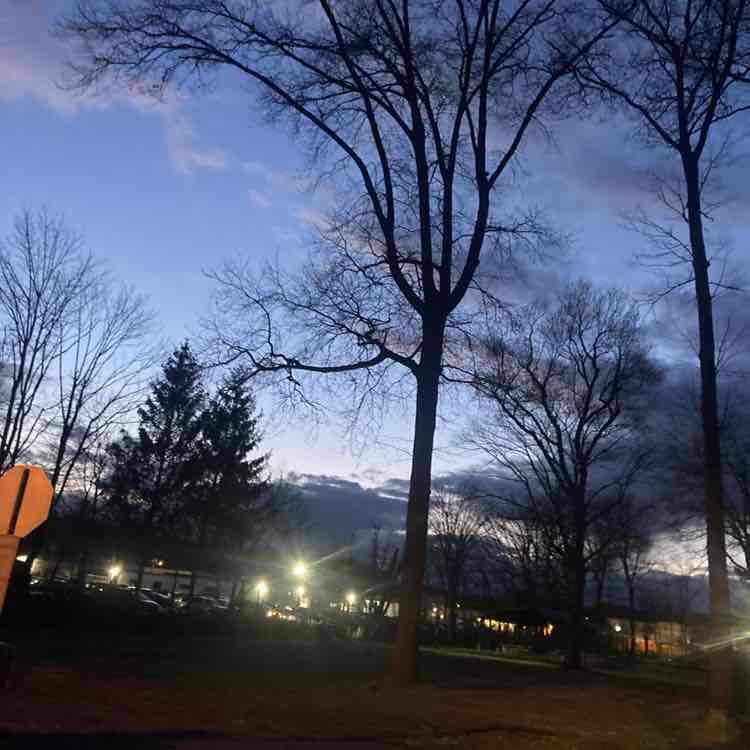 Frank the Tank post 1