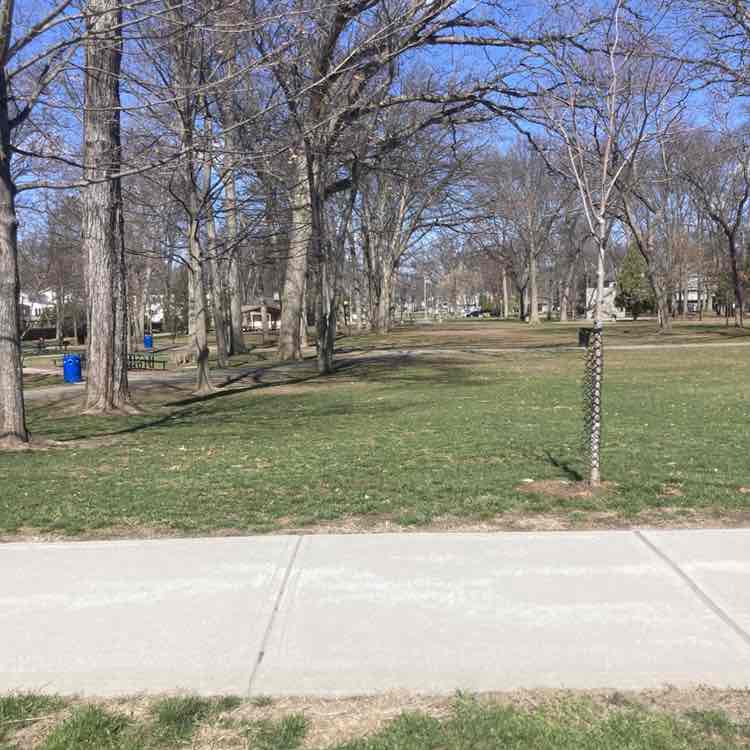 Frank the Tank post 2