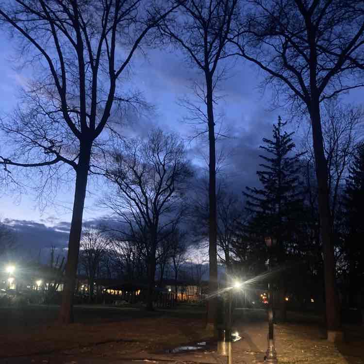 Frank the Tank post 2