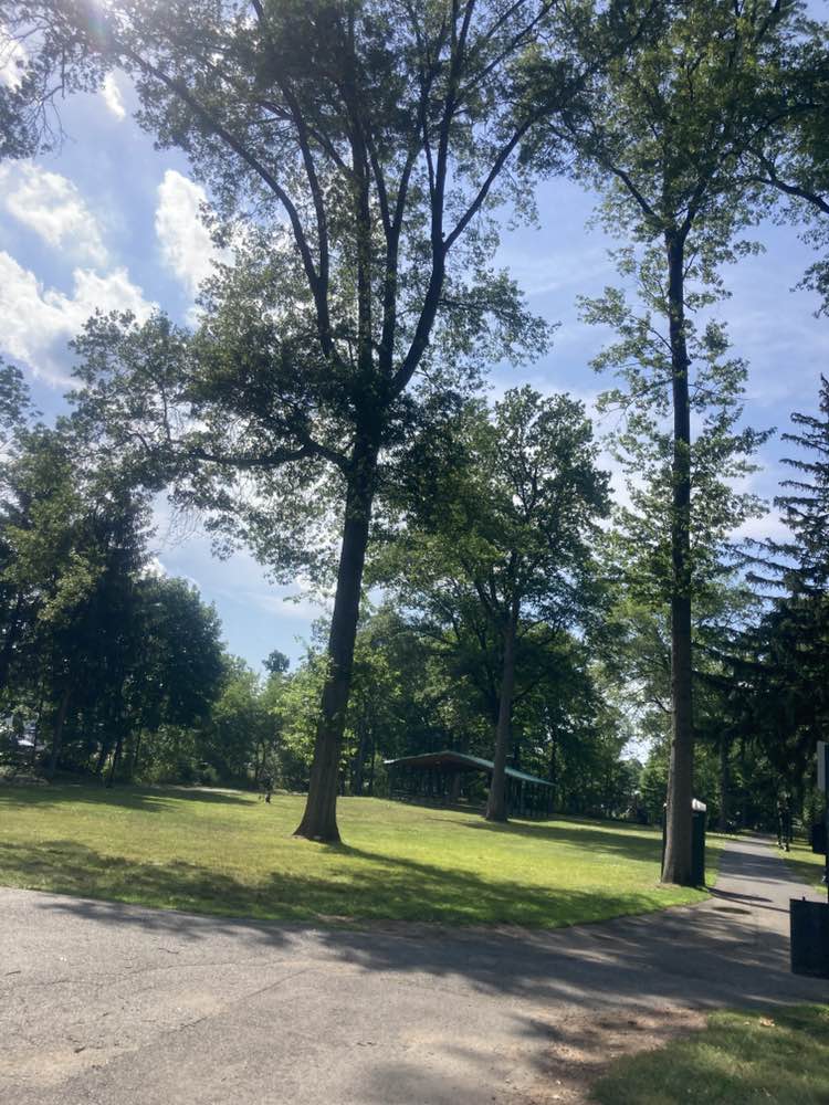 walking near me in Wortendyke Park in summer
