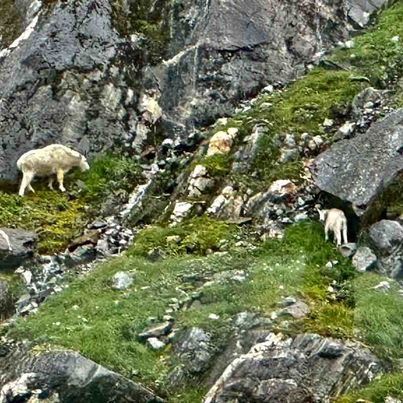 Nita Jan Jones post 1