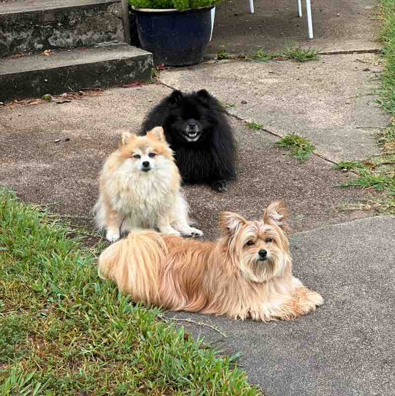 Nita Jan Jones post 2