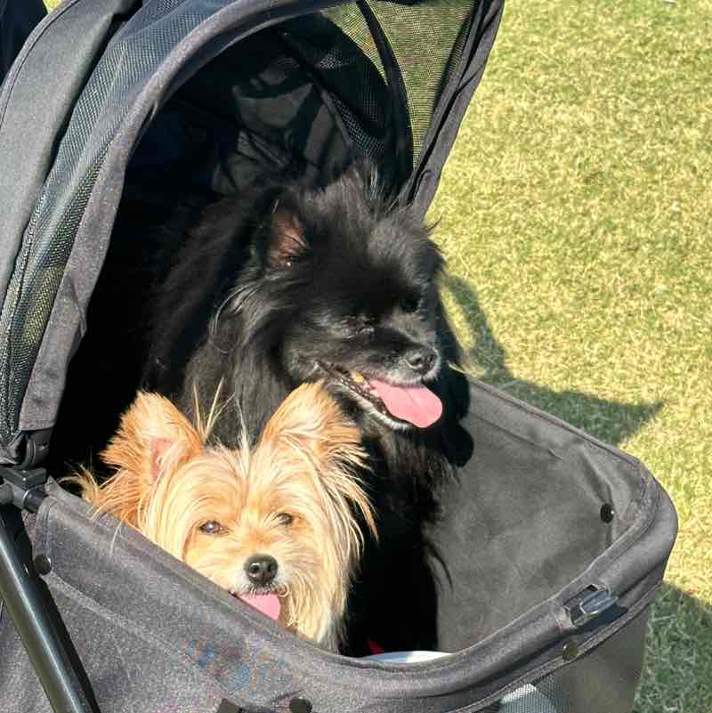 Nita Jan Jones post 1