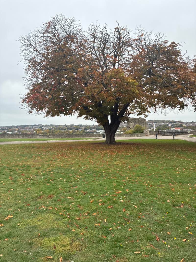 walking near me in Castle Park in autumn