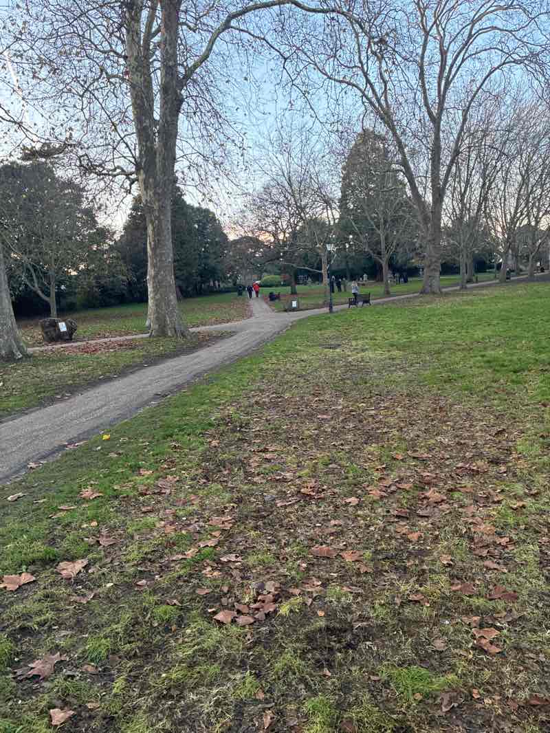 walking near me in The Vines in autumn