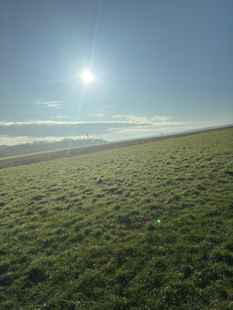 walking near me in Great Lines Heritage Park in winter