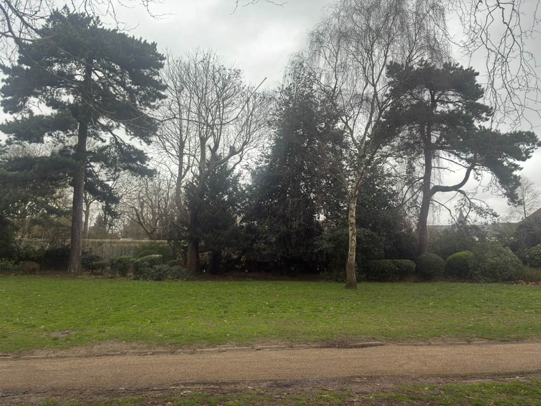 walking near me in The Vines in winter