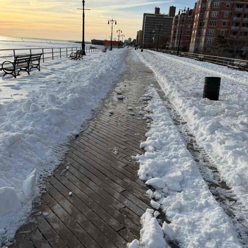 Coney Island / Vitebsk goldyork post image