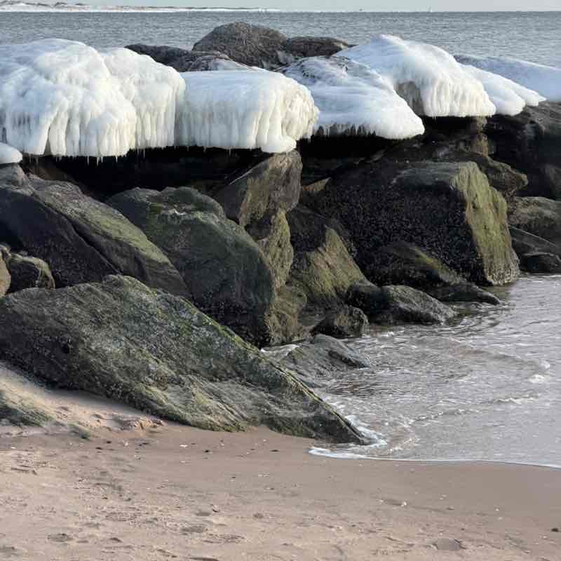 Coney Island / Vitebsk goldyork post image