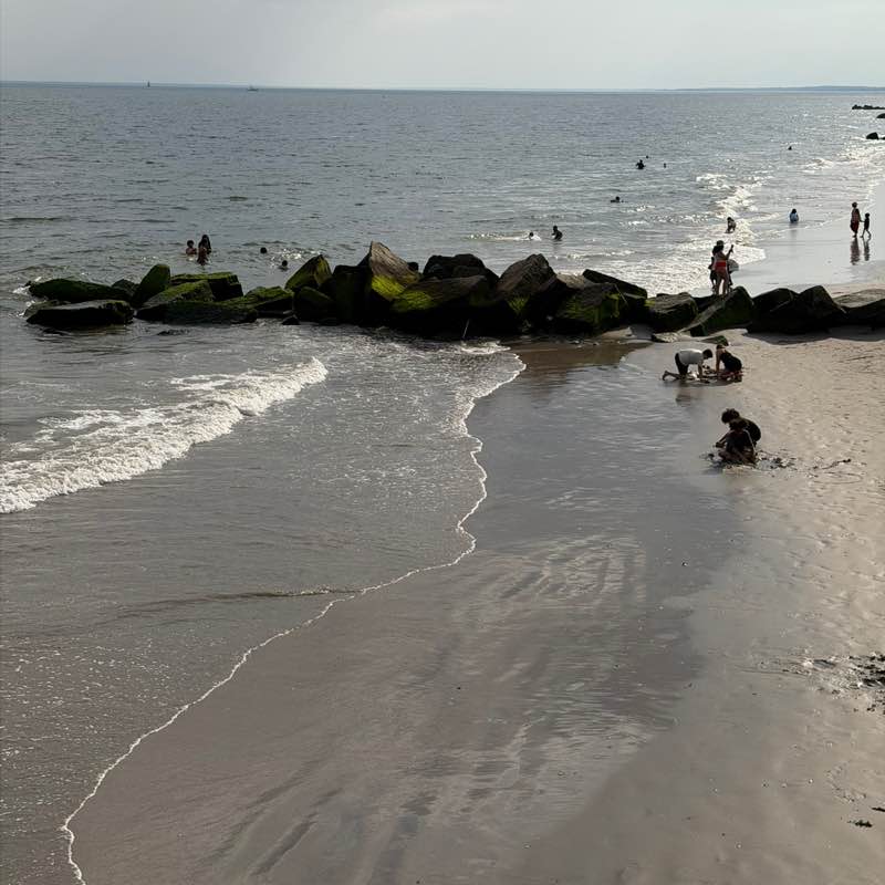 goldyork post 2